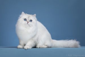 IMG_0015