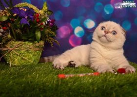 vy54_LK9z69oSEx1Rr3oeje_92Hq6JoR765aaAhNj5NND9GlbntZPTrQNILqITAGQXs-nZe9kbASFD8Z4YDZkSfR